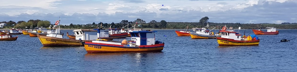 Pesca aRtesanal PW